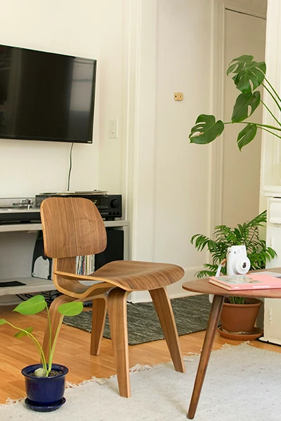 Eames Plywood Chair