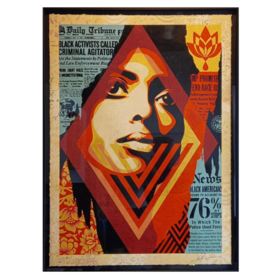 Shepard Fairey Produktbox